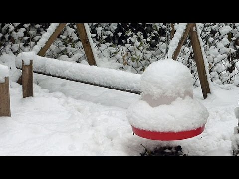 10 Tipps - Hühner im Winter