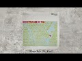Dick Hyman - Dick Hyman And His Trio