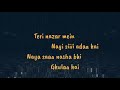 Mere Bina Crook Nikhil D Souza Pritam Lyrics Video