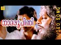 Nadaroopini His Highness Abdulla Malayalam Film Song