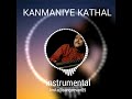 Kanmaniye Kadhal Enbadhu BGM King Of BGM