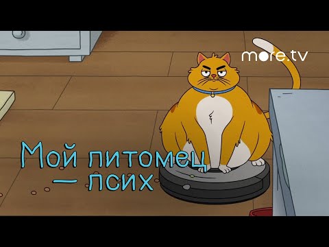 Трейлер