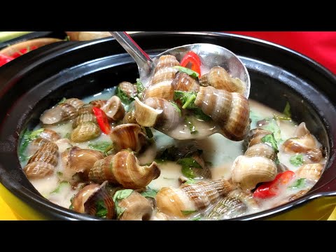 Ốc Len Xào Dừa - Cách xử lý và Công thức Cốt Dừa cho món Ốc thơm béo đặc trưng