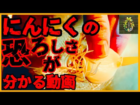 園芸 逆説的なニンニク