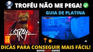 STRAY TROFÉU NÃO ME PEGA DICAS PARA CONSEGUIR MAIS FÁCIL! GUIA DE PLATINA