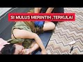 SI MULUS MERINTIH TERKULAI