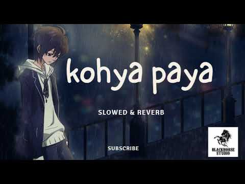 Khoya Paaya Dhamaka  BLACK HORSE STUDIO