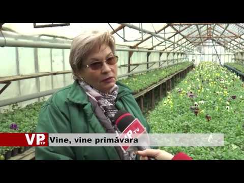 Vine, vine primăvara