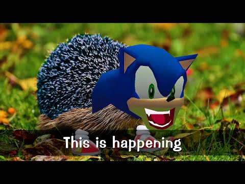 The Wild Hedgehog