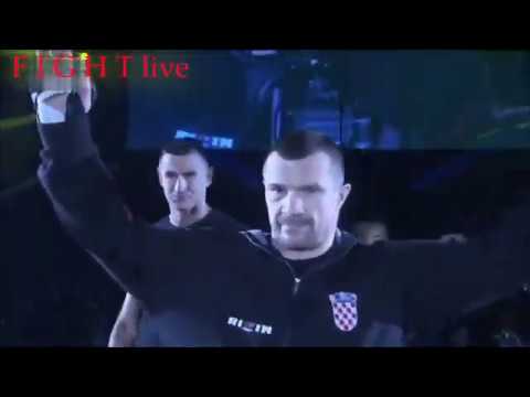 Mirco Cro Cop  vs Nelson