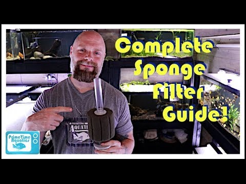 2nd YouTube video about how much water can a sponge filter in one minute