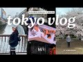 TOKYO VLOG 2025 6D5N Day 4 DIY Solo Travel Exploring Shinjuku Meguro Cherry Blossoms Spots