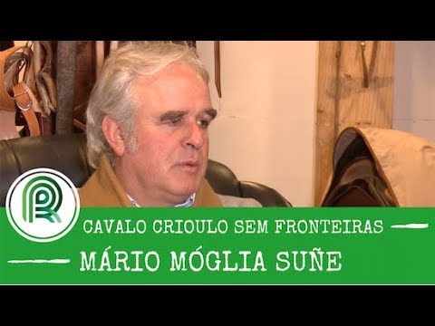 Cavalo crioulo  conheça jurado brasileiro que brilha em Palermo