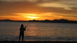 IF YOU COULD READ MY MIND