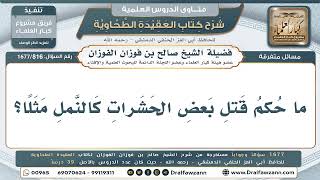 816- هل يجوز قتل الحشرات المؤذية بالنار؟ - صالح الفوزان