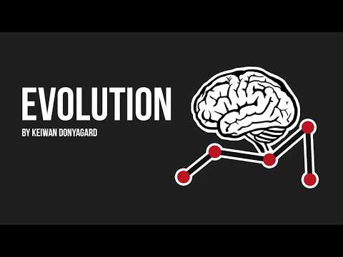 Evolution Video
