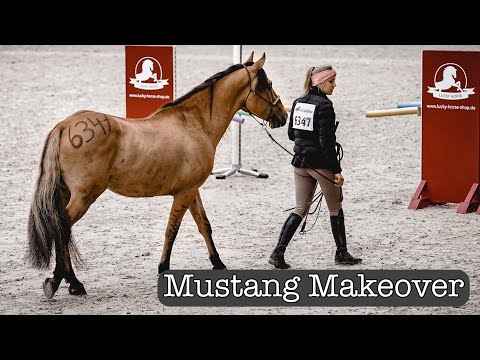The time with Musti is up💔😢 | Mustang Makeover 2021