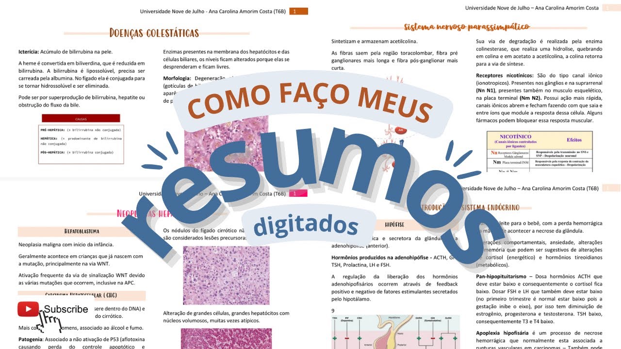 COMO FAZER RESUMOS DIGITADOS NO COMPUTADOR USANDO O WORD