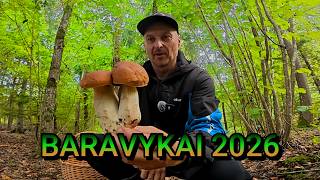Renku BARAVYKUS 2026
