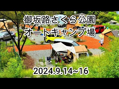 騒乱、取り壊し、立ち入り禁止: ジャングルキャンプは火薬庫と化す