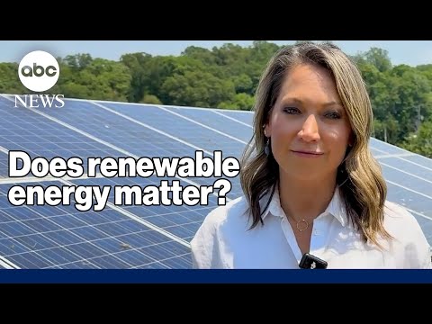 The world is building more renewable energy sources than ever before, but is it making a difference?