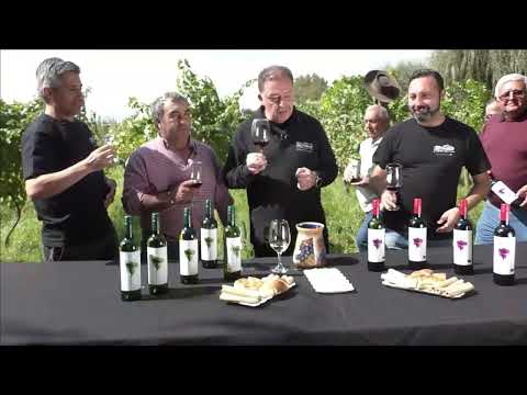 La senda del vino Temporada 5 capitulo 8