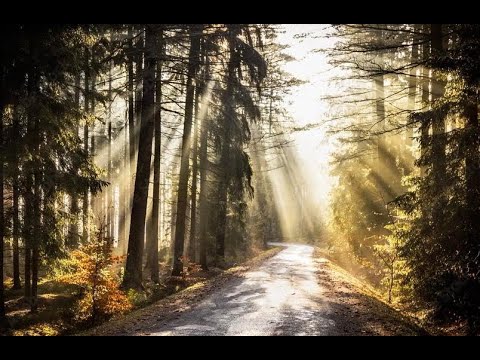 Dub Techno Mix#007 #atmospheric  #dubtechno  #deeptechno