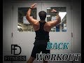 FD Fitness | Back Workout