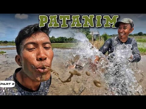 P2-Patanim ng Palay - EP1046