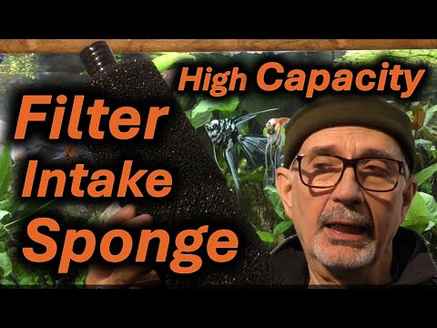 Double Your Filtration Capacity with "Super Intake Sponge"