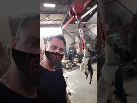 Massaka ( Köpeğini eğitiyor) #Massaka