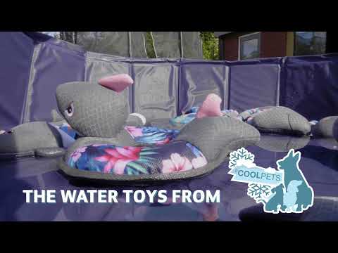 Coolpets Water Toys