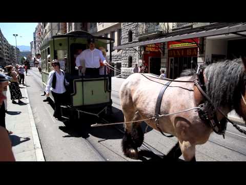 Horse-drawn tram in Geneva for tram parade