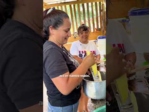 Frutos de la Reforma Agraria en Chimichagua, Cesar.