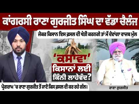 Big Challenge by Congress Leader Rana Gurjeet Singh: Promises Fair Price if Farmers Grow This Crop
