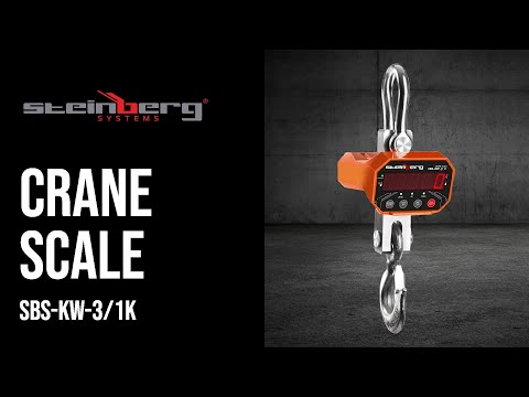 video - Crane Scale - 3000 kg / 1 kg - LED - digital - remote control 20 m