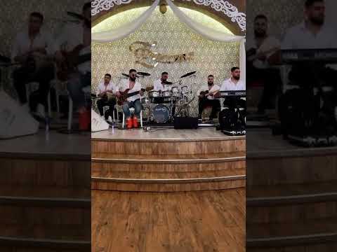 Mega Group - Live 2022