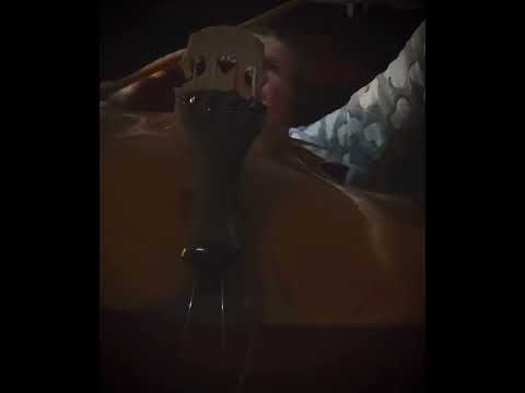 Christoph Willibald Gluck, ab 1756 Ritter von Gluck, war ein deutscher Komponist der Vorklassik.