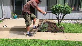 How to get rid of skunks under a concrete porch using wire exclusion -  Dayton, OH