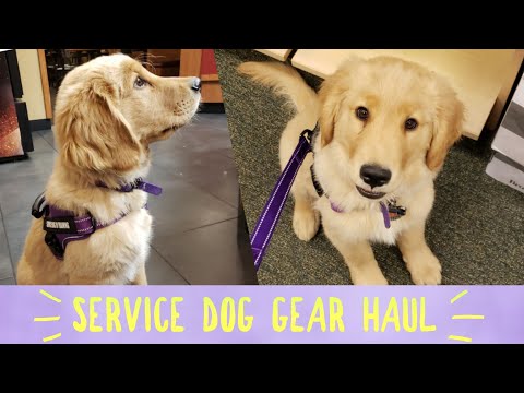 Service Dog Video | #2 | Service Dog Gear Haul