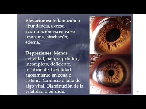 Hay que Decirlo 06-10-15 (06) - Las emociones y las enfermedades