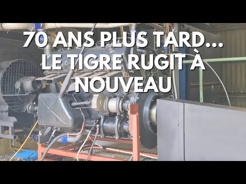 RESTAURATION TIGRE I  ⎸ 70 ans plus tard... le Tigre rugit à nouveau !