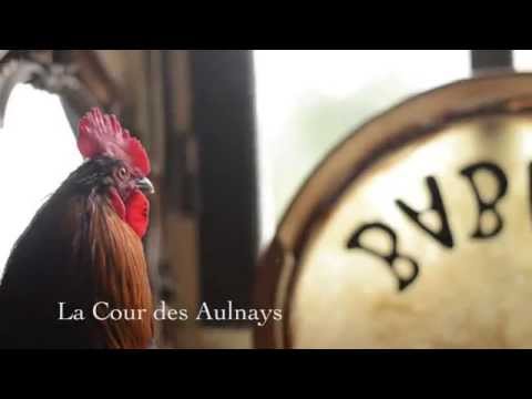 Babs En Tour! Ushti Baba France Tour 2015