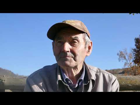 Homoród-menti énekeskönyv