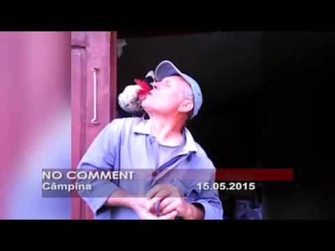 No comment – Cocos dresat