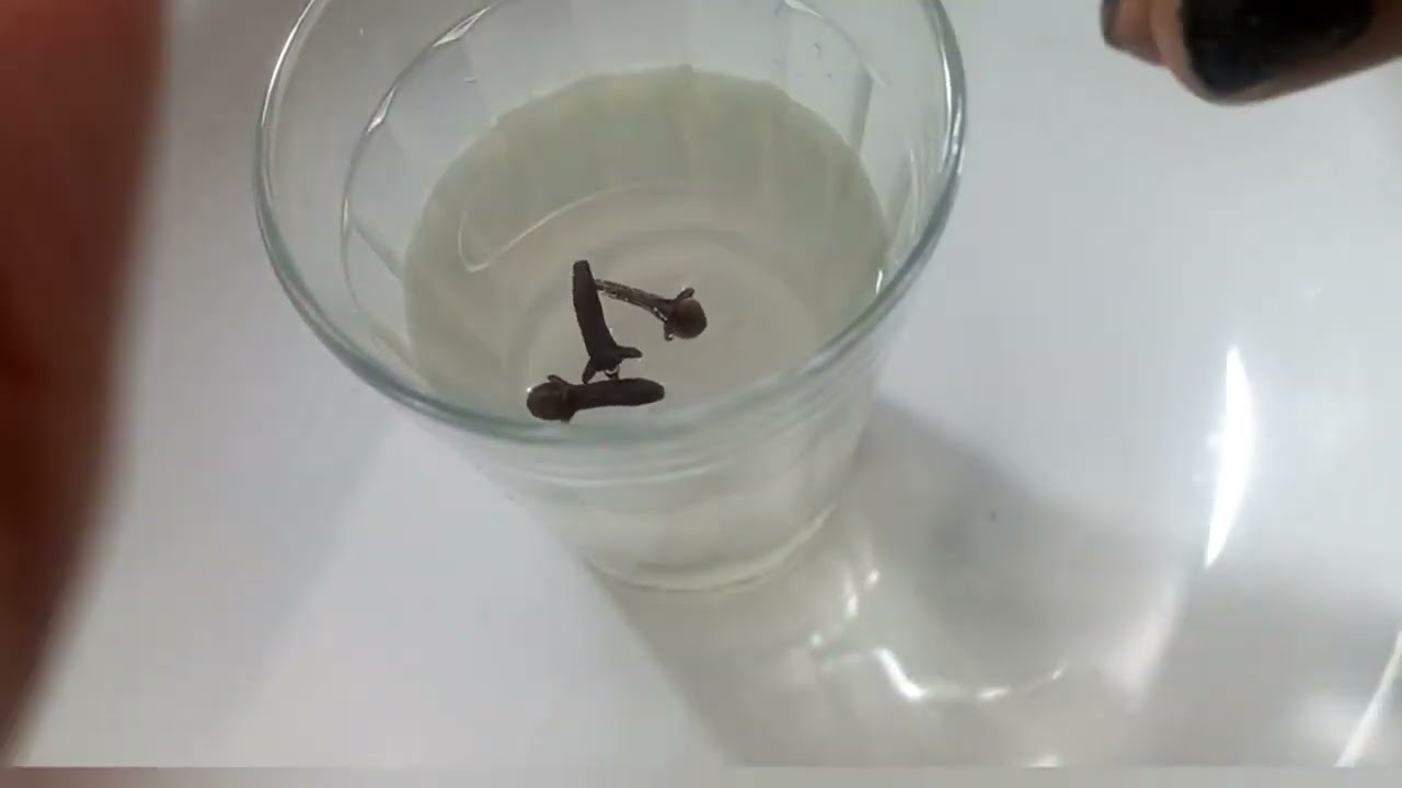 FIQUE RICO EM 3 DIAS FAZENDO APENAS ISSO!!!  RITUAL PODEROSO