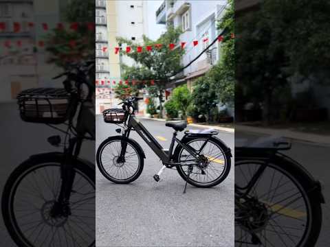 Xe đạp điện trợ lực Phoenix A9 Pro 15Ah Xám