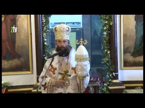 Episkop timočki Ilarion