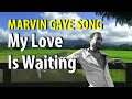 Marvin Gaye My Love Is Waiting
