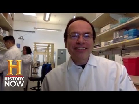 Zika Virus vs. Dr. Koen Van Rompay | History NOW